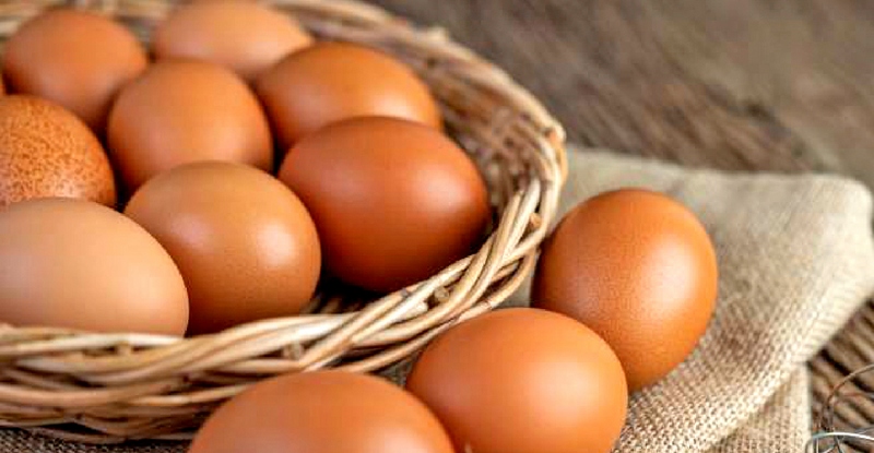 Производство яйца